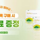 마이데이 이미지