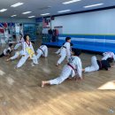 용인대백상태권도 이미지