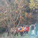 고서초교 유치원 이미지