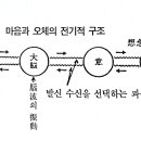 연재(69)마음의 원점(잃어버린 불지의 재발견)P211 이미지