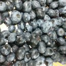 경인목장 이미지