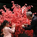 꿈이 있는 도서관 이미지