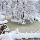 동해민박 이미지