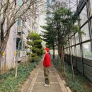 와이즈웍스