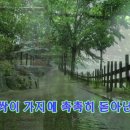 나이가 들수록 비 오는 날이면 옛 생각이 많이 난답니다. 왜 그럴까요??? 이미지