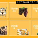 (주)영풍안성상휴게소(한식당코너) | 안성 맛집,안성의 유명 맛집 총집합.(한식,중식,양식,일식),안성마춤특산물.