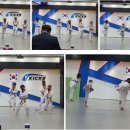 제일체육관(태권도) 이미지