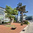 원주센터 블루베리 발효농법 출강 이미지