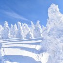 겨울여행 이미지