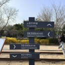 경춘선숲길공원 | 서울벚꽃명소ㅣ경춘선숲길 화랑대철도공원 방문후기 &amp; 방문 전 필독사항!