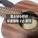 청소년수련관1 | 분당구 청소년수련관 우쿨렐레 1년 후기