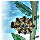 병정목장 이미지