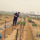 고선농장 이미지