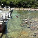 정금교 옆 이미지