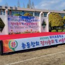 하이초등학교 이미지