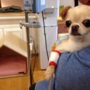 동물병원 더 메이 이미지