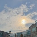 레몬비 곽지해변점 | 제주 애월 돌고래 해바라기 일몰 알작지 몽돌해변