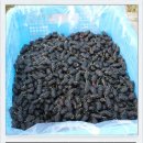 민등농장 이미지