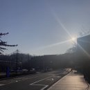 April 1st) 바라보면 눈물나게 아름답죠