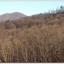 230064 Daum카페