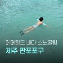 포구의 오후 | 제주 판포포구 스노쿨링 후기, 맥주병도 즐긴 플레이판포 샤워실 및 장비대여까지