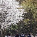 김천고등학교 이미지