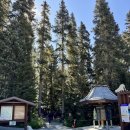 레이크주유소 | [밴쿠버 DAY 3] 조프리레이크/ 조프리 하이킹/ 밴쿠버근교/ 휘슬러/ 휘슬러맛집/ 조프리투어