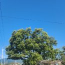 안촌경로당 이미지