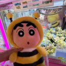 주니퍼니 이미지