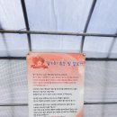 응골농장 이미지