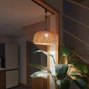 스테이호안 이미지