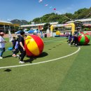안의초등학교