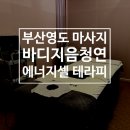 바디지음 청연