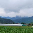 어제의 그림 오늘의 인문학 이미지