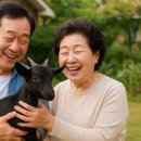 홍동농협 | [추석선물] 명절 선물 고민 끝! 부모님 기력 보충에 딱 맞는 흑염소 진액의 특별한 가치