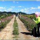 허수아비 이미지