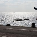 법환동-14 이미지