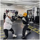 퍼블릭 복싱 이미지