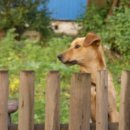 경춘선 자전거도로16 | (1)[블로그 서문] – 자전거 일주 연재를 시작하며 (2006.07.13~14~15~16)