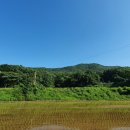 강화반석공인중개사사무소 이미지