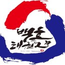 은평 백호 태권도장 이미지