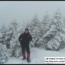 풍양농협주유소 이미지