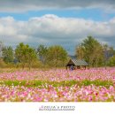 대산자원 이미지