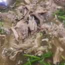 황칠오리 이미지