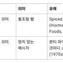 스팸의 어원 이미지