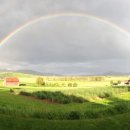 즐거운 그림책 놀이 (A) 이미지