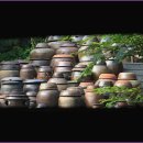 한향림옹기박물관 이미지