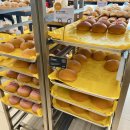 맘모스주유소 | 낙성대역 블루리본 빵 맛집, 쟝블랑제리 후기