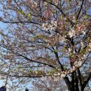 대치노인미용실 | 220415-20 | 요청하신.. (한달지난) 울산편 포스팅 나왔습니다.😌 : (행복했던 생일주간!) _ 스압주의