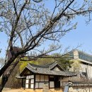 지구사랑 리사이클링 공예교실 | [파주 여행] 파주의 정취를 느껴, 봄: 파주 출판 도시, 헤이리 예술 마을, 지지향